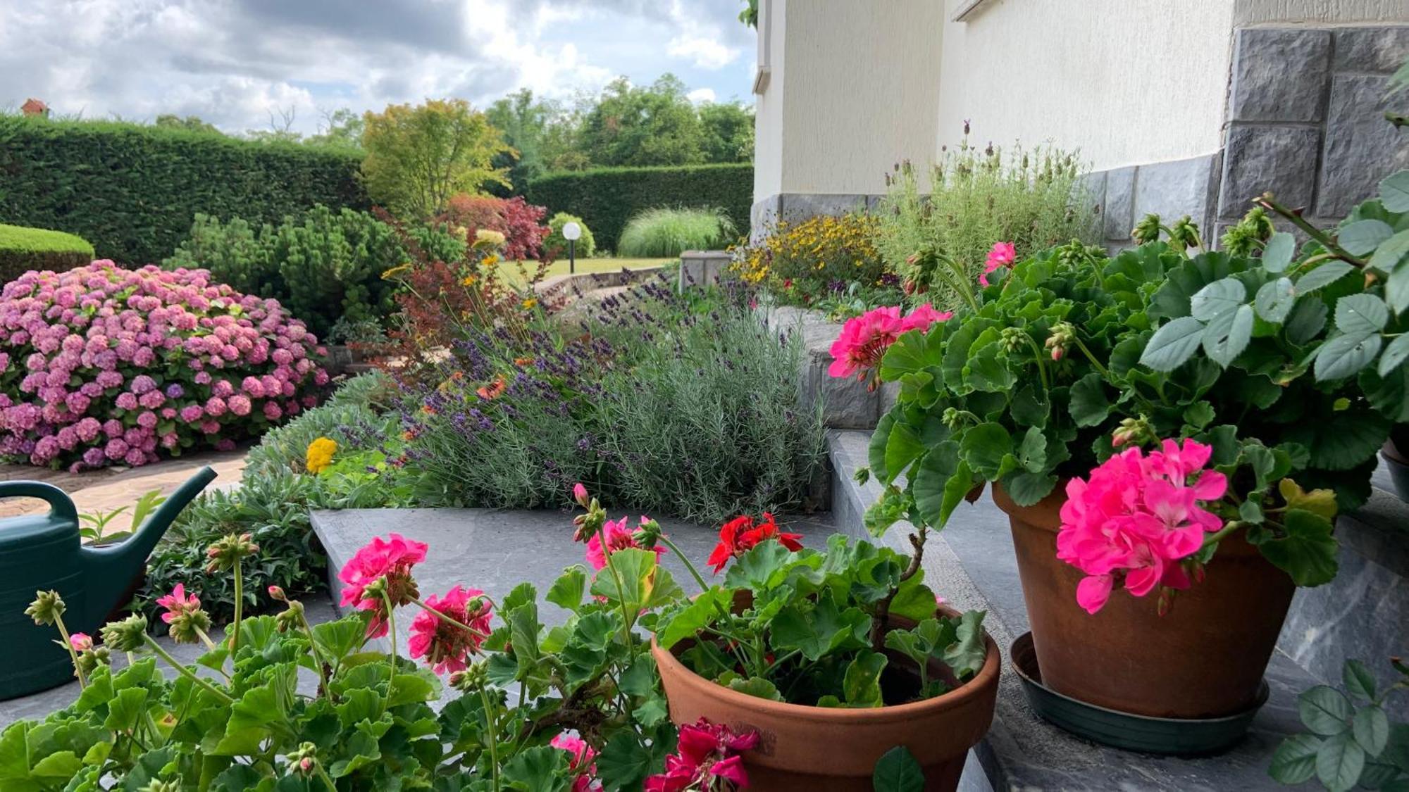 Garden Villa Štanjel Exteriör bild